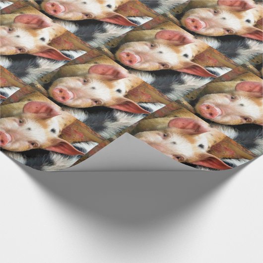 豚 ラッピングペーパー (角)