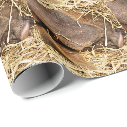 豚 ラッピングペーパー (ロールコーナー)