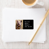 豚 ラベル (インサイチュ)