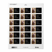 豚 ラベル (フルシート)