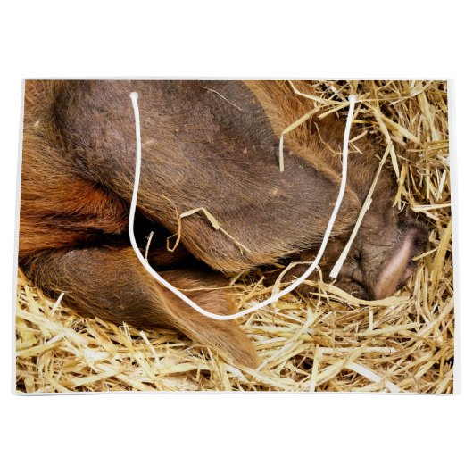 豚 ラージペーパーバッグ (正面)