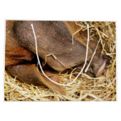 豚 ラージペーパーバッグ (裏面)