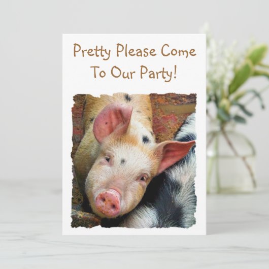 豚 招待状 (スタンド正面)