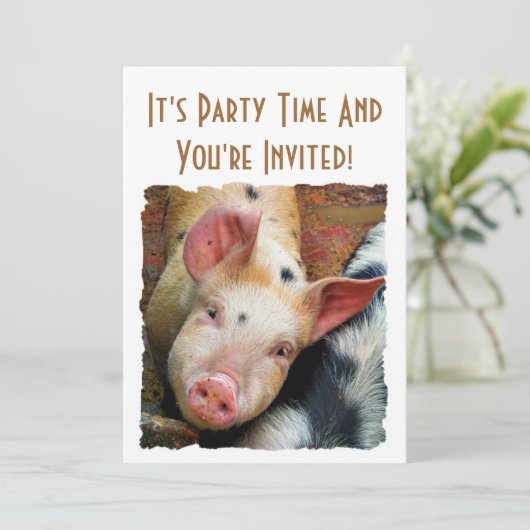 豚 招待状 (スタンド正面)