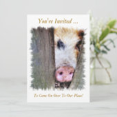 豚 招待状 (スタンド正面)
