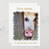 豚 招待状 (正面/裏面)