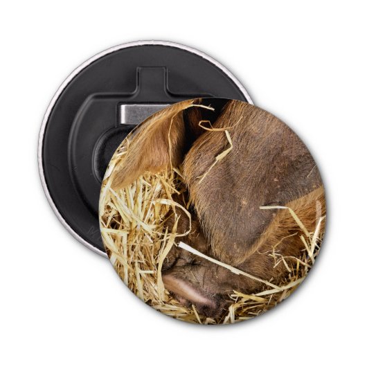 豚 栓抜き (正面)