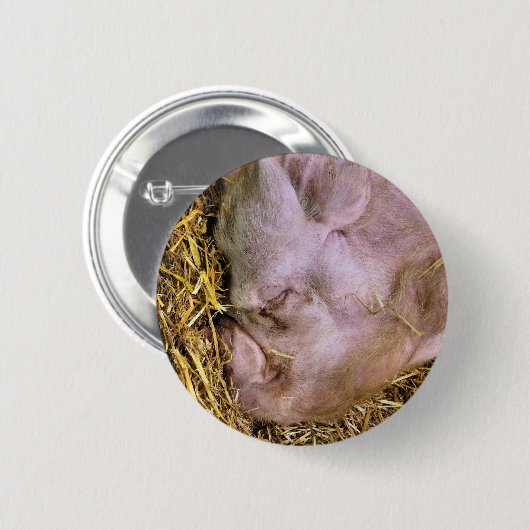 豚 缶バッジ (正面&裏面)