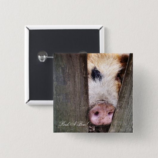 豚 缶バッジ (正面&裏面)
