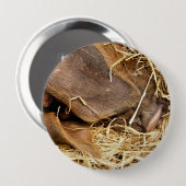 豚 缶バッジ (正面&裏面)