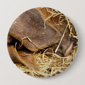 豚 缶バッジ (正面)