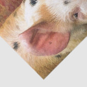 豚 薄葉紙 (詳細)