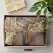 豚 薄葉紙 (ギフト)