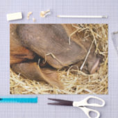 豚 薄葉紙 (クラフト)