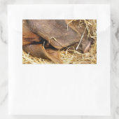 豚 長方形シール (バッグ)