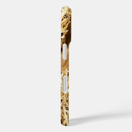 豚 Case-Mate iPhoneケース (裏面 / 右)