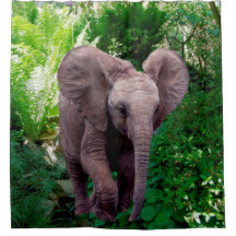 象およびジャングル