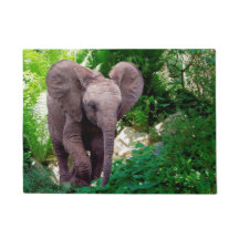 象およびジャングル