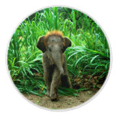 象および草 セラミックノブ (正面)