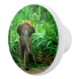 象および草 セラミックノブ