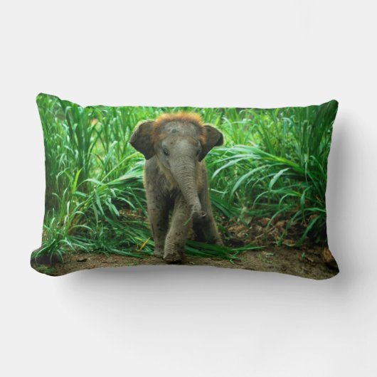 象および草 ランバークッション (正面)