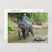 象およびMahout Chiang Mai、タイの郵便はがき ポストカード (正面/裏面)
