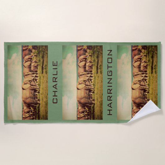 象かあなたの写真の名前をカスタムするのビーチタオル ビーチタオル (正面)