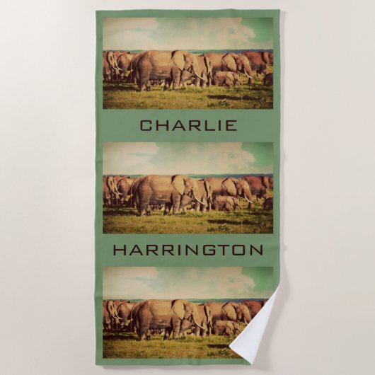 象かあなたの写真の名前をカスタムするのビーチタオル ビーチタオル (正面)