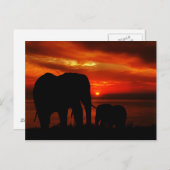象が日没に ポストカード (正面/裏面)