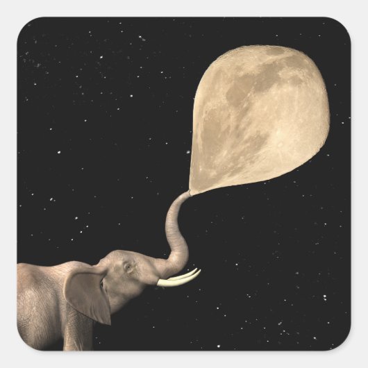 象が満月になる スクエアシール (正面)