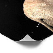 象が満月になる ポスター (角)