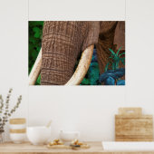 象が私の庭の世話をする ポスター (キッチン)