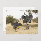 象が自転車に乗る ポストカード (正面/裏面)