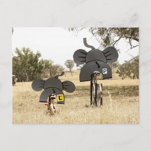 象が自転車に乗る ポストカード (正面)