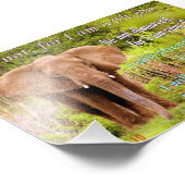 象とイザヤ書41:10 フォトプリント            (角)