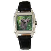 象とジャングル