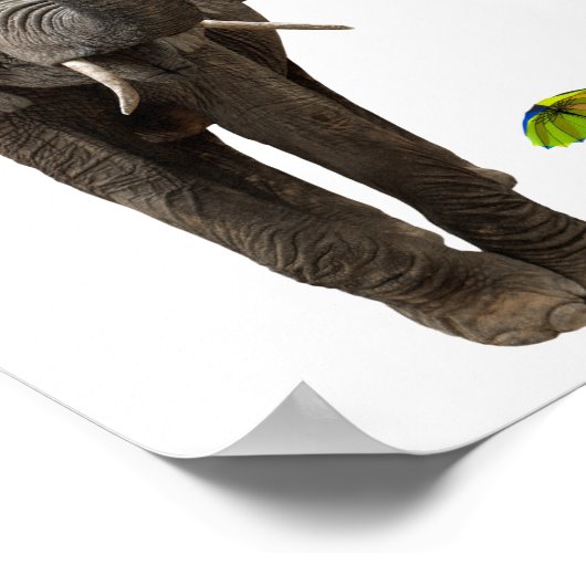 象とマウス ポスター (角)