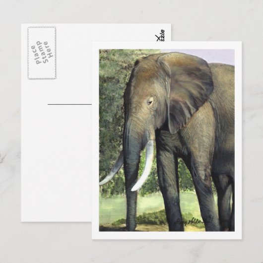 象のはがき ポストカード (正面/裏面)