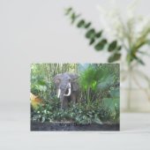 象のはがき ポストカード (スタンド正面)