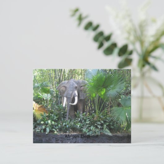 象のはがき ポストカード (スタンド正面)