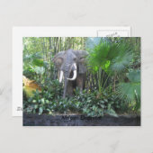 象のはがき ポストカード (正面/裏面)
