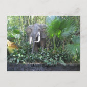 象のはがき ポストカード (正面)