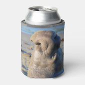 象のアザラシの雄牛 缶クーラー (缶正面)