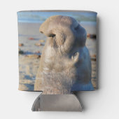 象のアザラシの雄牛 缶クーラー (裏面)