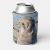 象のアザラシの雄牛 缶クーラー (缶裏面)