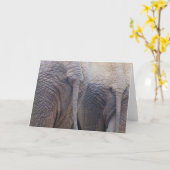 象のグリーティングカード カード (黄色い花)