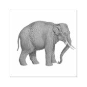 象のサファリ動物 ラバースタンプ (インプリント)