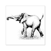 象のサファリ動物