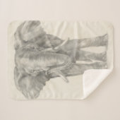 象のスケッチ シェルパブランケット (正面(横))