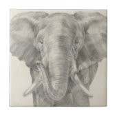 象のスケッチ タイル (正面)